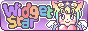 widget.st